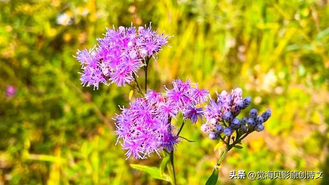 怎样才能当演员,怎样可以成为演员