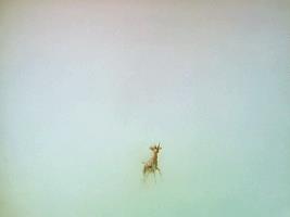 儿童看的电影推荐,儿童最爱看的电影