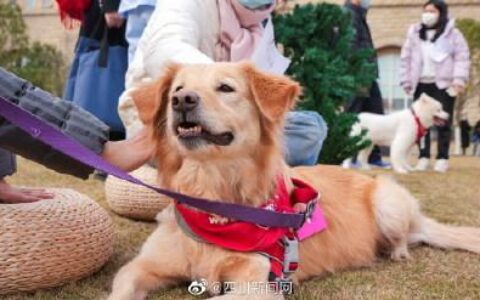 深圳心理医生多少钱一小时,心理医生多少钱看一次