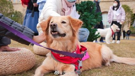 深圳心理医生多少钱一小时,心理医生多少钱看一次