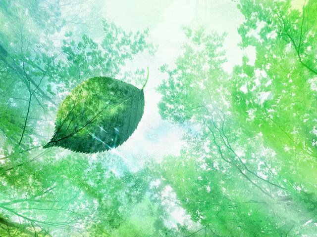 定积分怎么求,定积分公式大全24个