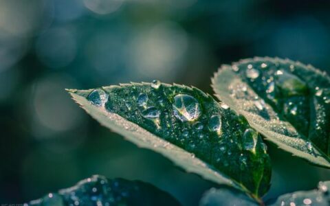 适合4年级孩子看的课外书,小学四年级阅读推荐书目