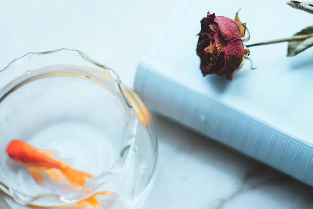 男生喜欢一个人的细节表现在哪里,男生喜欢你的表现细节