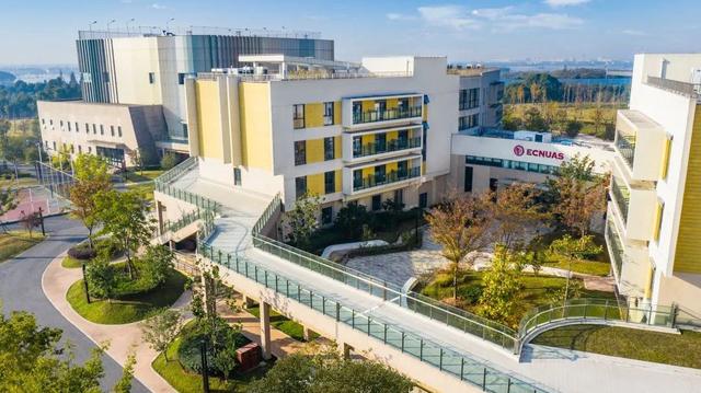 第二外语学什么好学,第二外语最好学什么