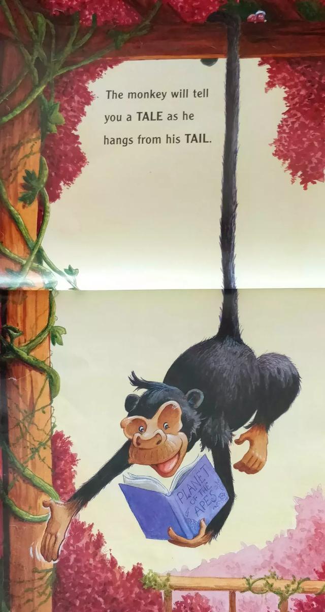 与i同音的词,与I同音的单词