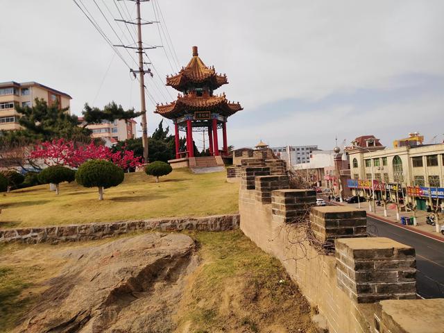 职业资格证是什么,职业资格是什么怎么填