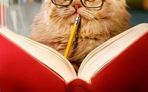 高考英语作文类型归纳,高中英语作文一般考什么类型