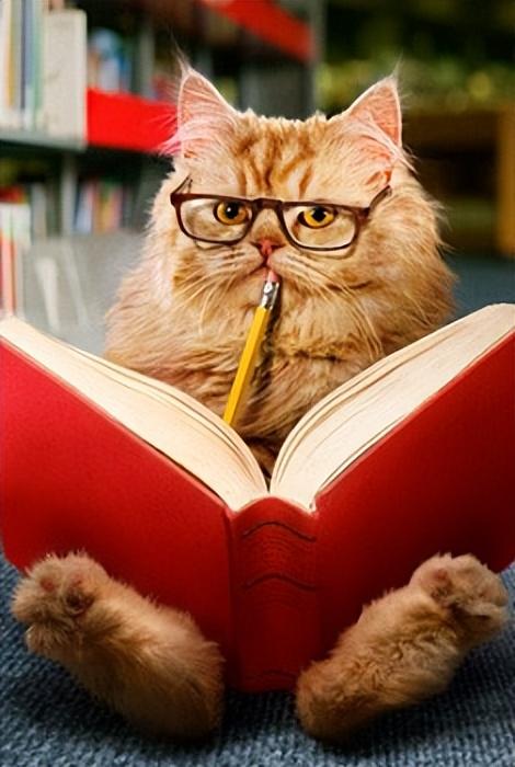 高考英语作文类型归纳,高中英语作文一般考什么类型