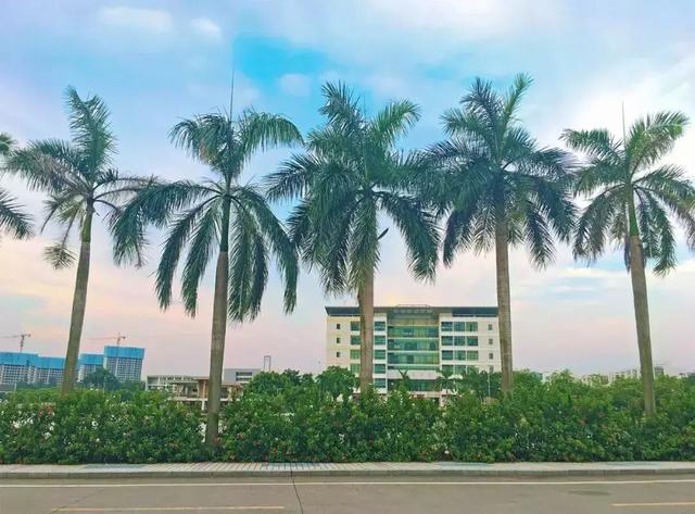 理科462分可以报考什么大学,462分可以上什么大学