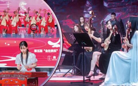 十大最冷门的乐器是什么,比较文艺小众的乐器