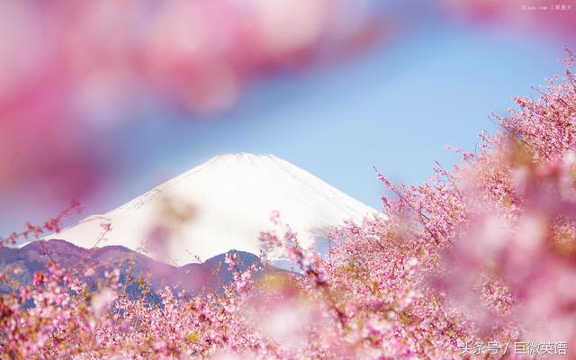 级算分规则,专四评分标准细则"