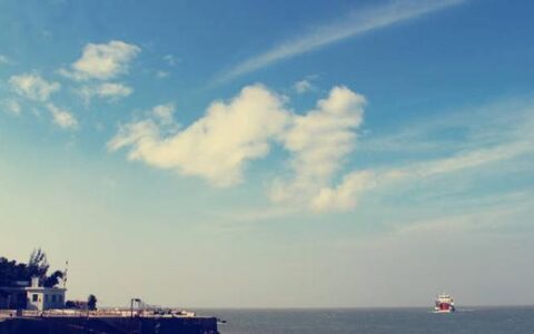 硕士学历和学位的区别怎么填写,硕士对应的学历是什么