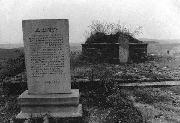 论衡的作者是哪个朝代的人,王充的论衡出自什么朝代