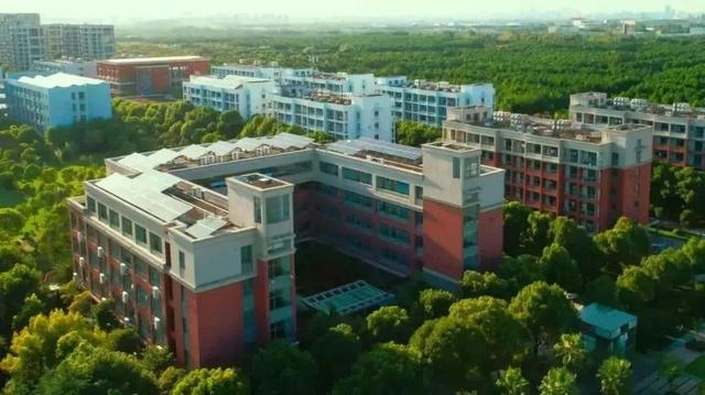 第二外语学什么好学,第二外语最好学什么