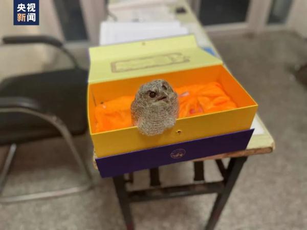 奖状鼓励表扬语句,初中生拿到奖状鼓励的话