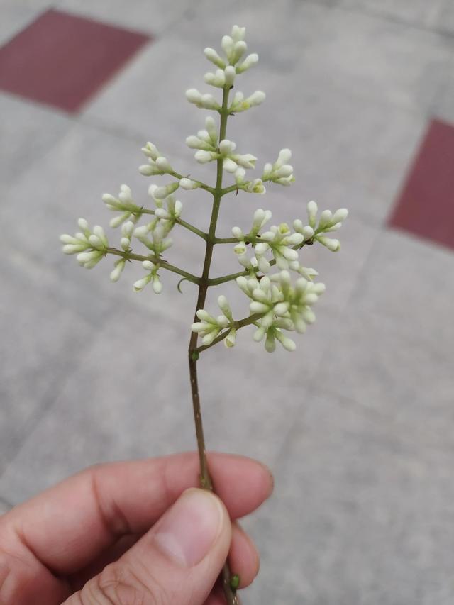 什么都不会的人适合做什么工作,自由懒散的人适合什么工作