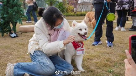 深圳心理医生多少钱一小时,心理医生多少钱看一次