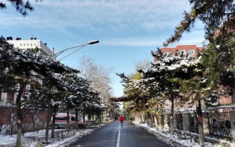 想学护士上什么学校,护理专业公立学校有哪些