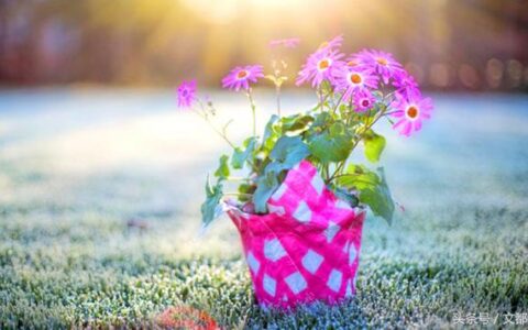 六级考试时间,六级考试时间安排分配详细