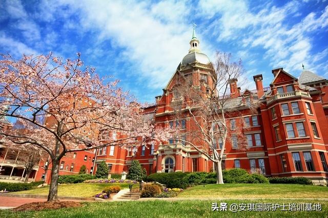 护士等级划分,护士的最高等级