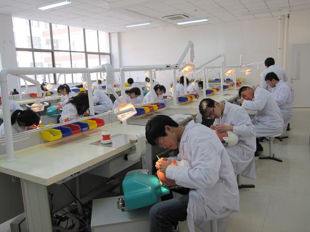 女生没学历学什么技术好-,女孩子没有学历学什么技术比较好