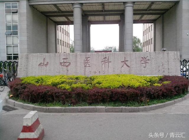 28理科可以报什么学校,文科528分可以上什么大学"