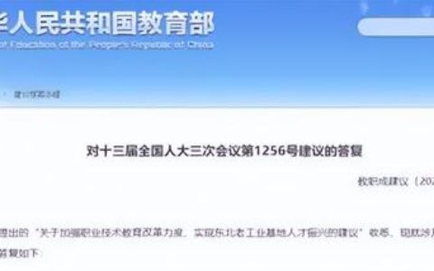 电子商务主要是学的什么啊