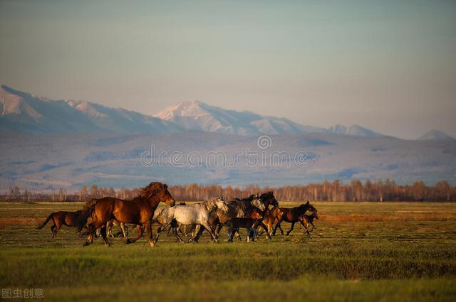 副高级职称相当于什么级别,副高级职称评审通过率