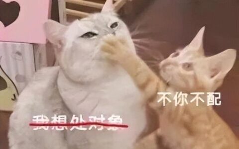 男生最吃香的十大专业有哪些,男生十大好就业专业