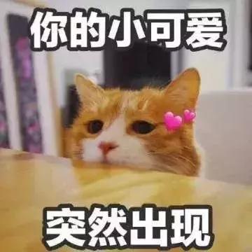 六级英语听力多少分一道题啊,大学英语六级听力每题多少分