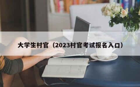 大学生村官（2023村官考试报名入口）