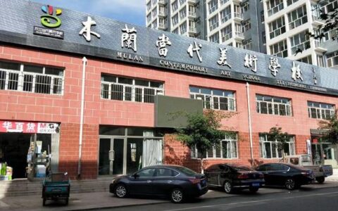 美术学校有哪些(芜湖顶峰美术学校)