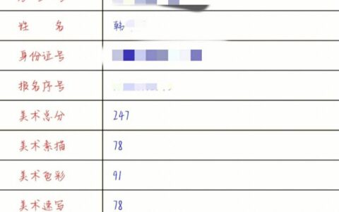 河南省美术统考成绩查询(河南联考2024成绩查询入口)