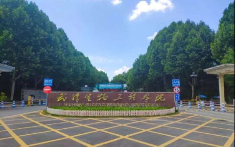 武汉二本院校(武汉二本大学录取分数线)