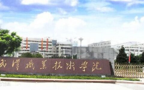 武汉职业技术学院怎么样(技校十大吃香专业)