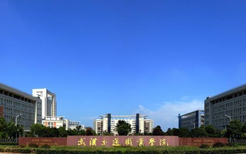 武汉专科学校(武汉的大专院校有哪些)