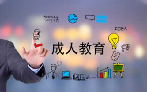 成人教育是什么意思啊