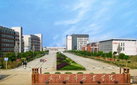 武汉城市职业学院怎么样(武汉十大最好的职高)
