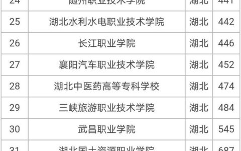 武汉前十名的大专(技校十大吃香专业)