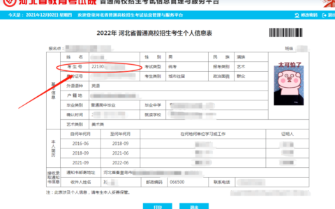高考准考证号查询入口(身份证号一键查询考生号)