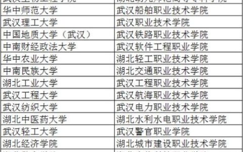 武汉的大学有哪些(武汉大学四大王牌专业)