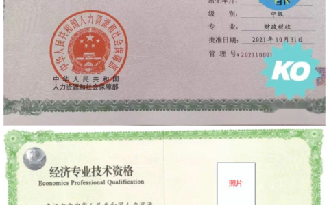 经济师(中级)简介