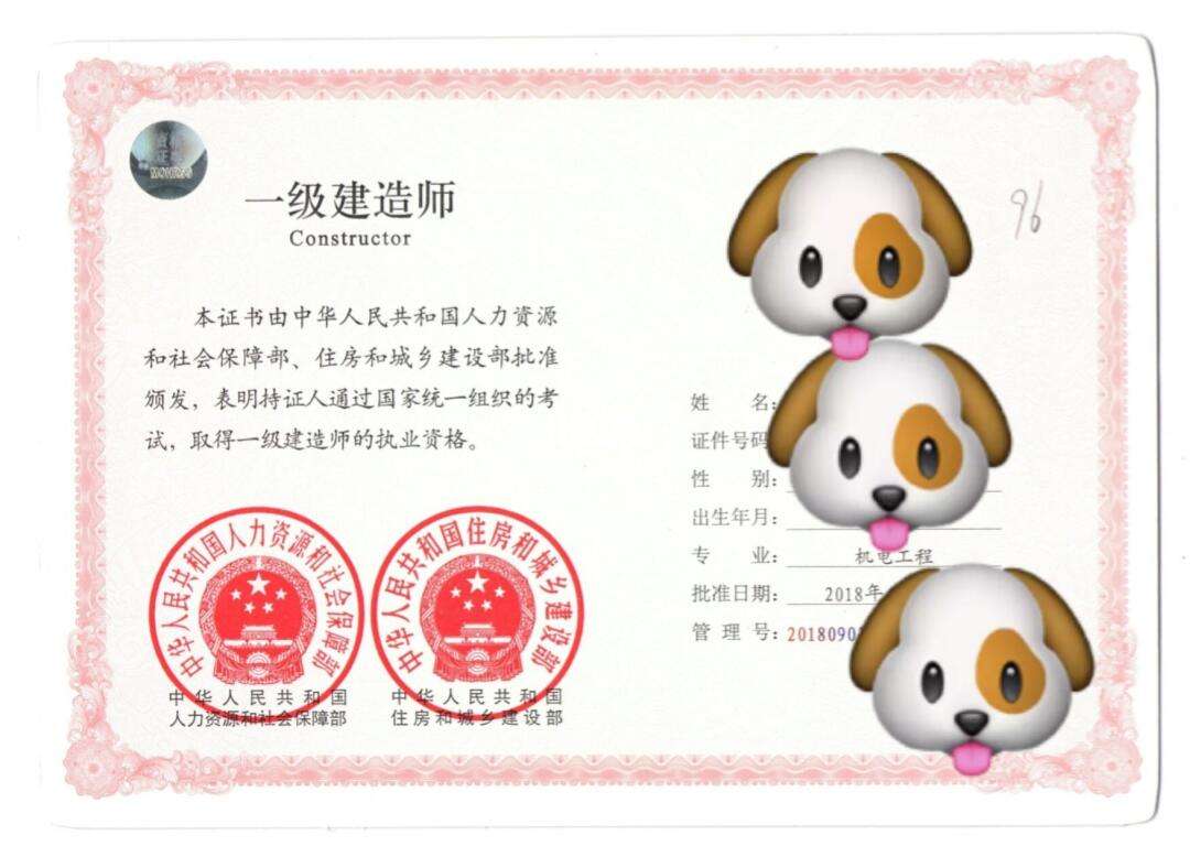 机电一体化能考一级建造师吗