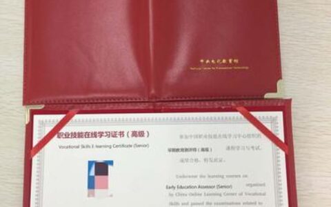 奥尔夫音乐教师资格证怎么考(奥尔夫教学证在哪里考)