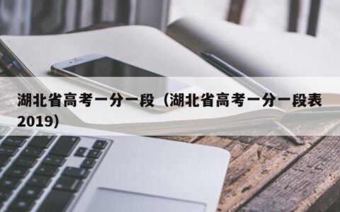 湖北省高考一分一段（湖北省高考一分一段表2019）