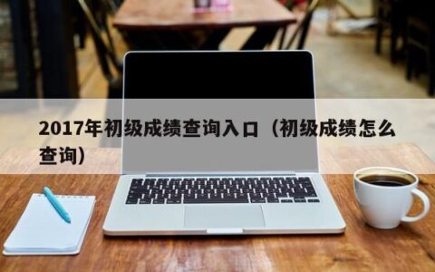 2017年初级成绩查询入口（初级成绩怎么查询）