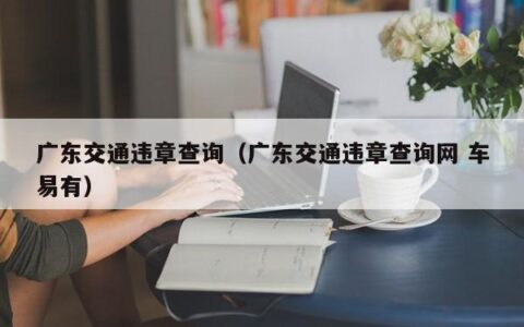 广东交通违章查询（广东交通违章查询网 车易有）