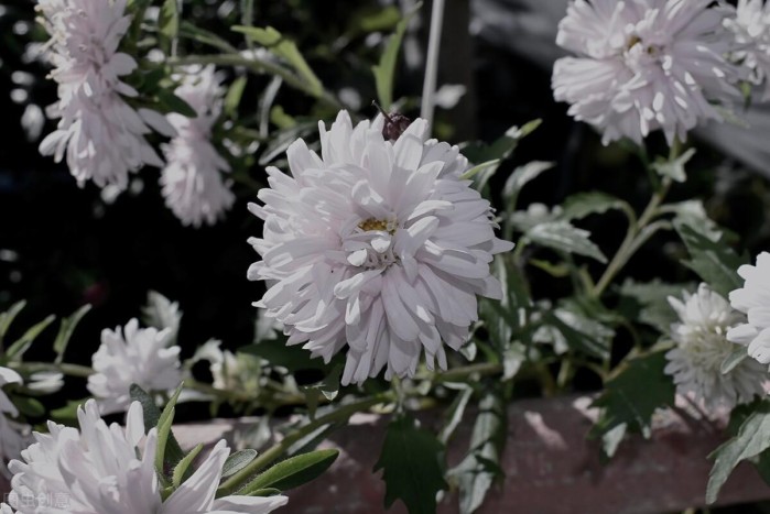 2022年青海省退休人员丧葬费及抚恤金标准是多少插图1