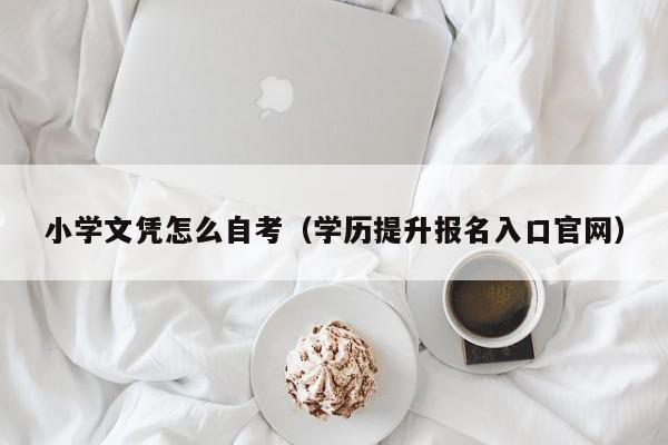 小学文凭怎么自考（学历提升报名入口官网）