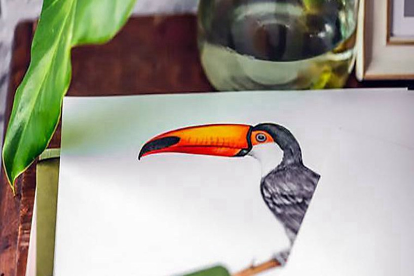 2019年全国各地区31个省份成考成绩查询入口汇总表